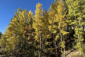 On Failure, Success… and Noticing