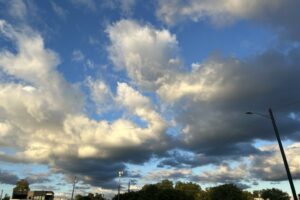 New Offerings & Book Updates
